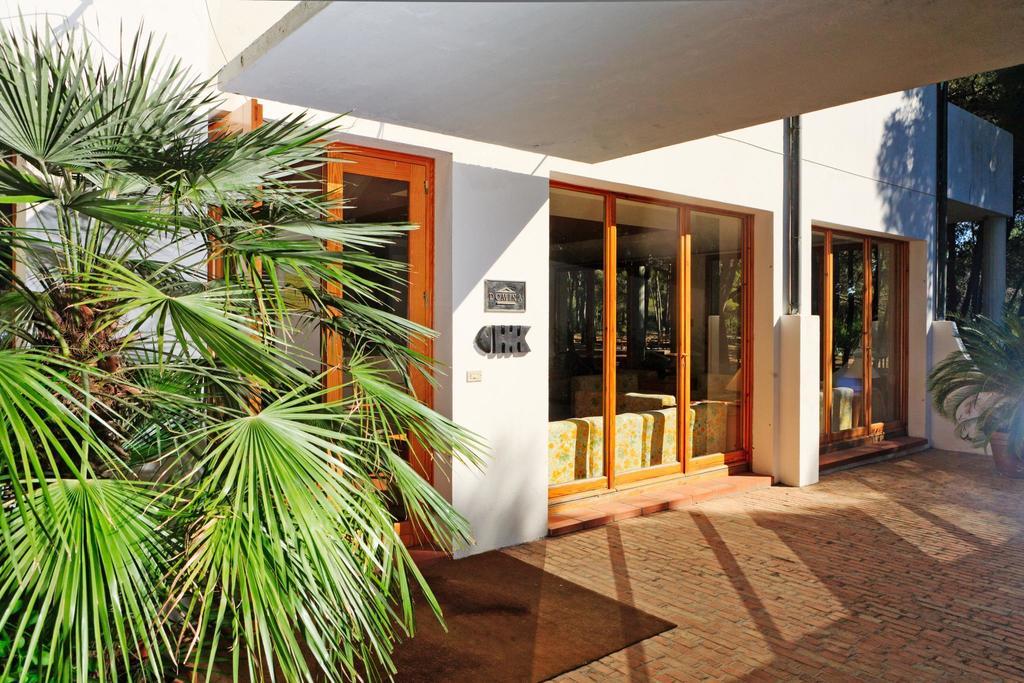 Hotel Kyrie Isole Tremiti Isla de Isla de San Domino Zewnętrze zdjęcie